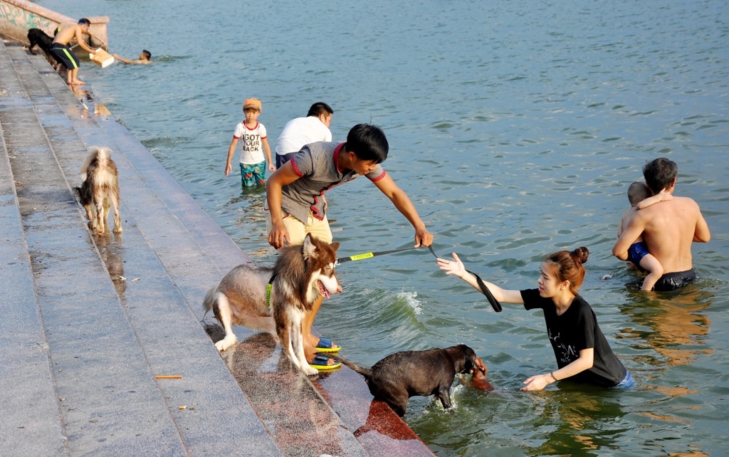 
Nhiều chú chó tỏ vẻ phấn khích khi được tắm mát sau một ngày dài nắng nóng, oi bức.
