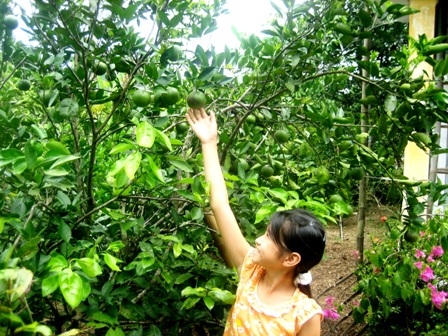 img-0063-3cd36 img-0063-3cd36