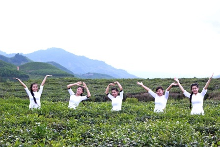 Mát xanh đồi chè hiếm hoi ở xứ Quảng - 16