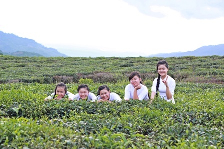 Mát xanh đồi chè hiếm hoi ở xứ Quảng - 17