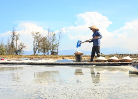 “Bóng muối” trên cánh đồng muối ở Quảng Nam - 4 “Bóng muối” trên cánh đồng muối ở Quảng Nam - 4