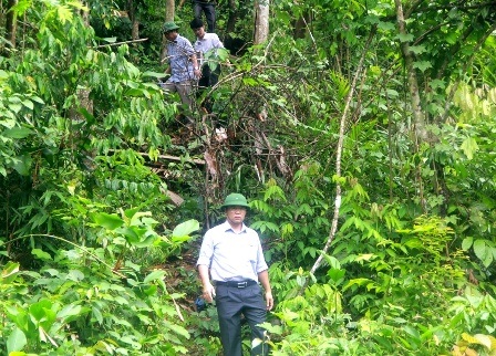 Ông Lê Trí Thanh - Phó Chủ tịch tỉnh Quảng Nam - trực tiếp kiểm tra gỗ lậu