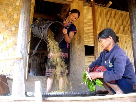 Chiếc gùi trong đời sống của đồng bào Cơtu - Quảng Nam - 1 Chiếc gùi rất tiện dụng trong cuộc sống của đồng bào