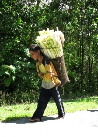 Chiếc gùi trong đời sống của đồng bào Cơtu - Quảng Nam - 5 Đong đưa chiếc gùi trên lưng trẻ nhỏ Cơtu