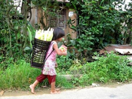 Chiếc gùi trong đời sống của đồng bào Cơtu - Quảng Nam - 8 Chiếc gùi trong đời sống của đồng bào Cơtu - Quảng Nam - 8