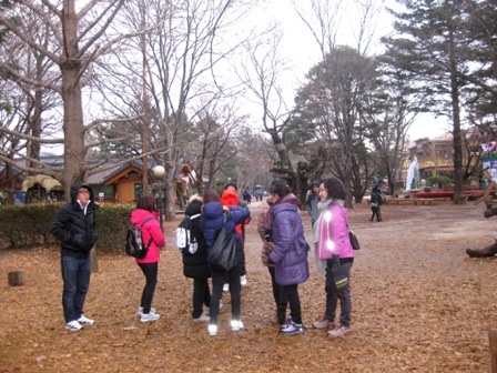 “Thưởng thức” mùa tuyết trắng ở Hàn Quốc - 1