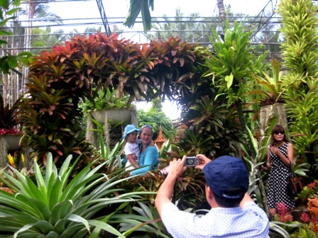 Khám phá một trong những vườn hoa đẹp nhất Châu Á - 3