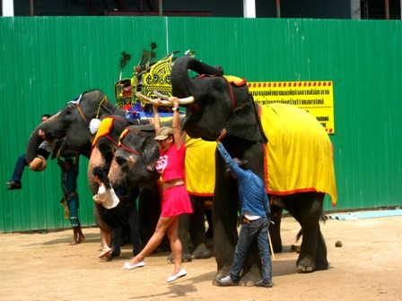 Khám phá một trong những vườn hoa đẹp nhất Châu Á - 4