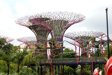 Khám phá công viên Garden by the Bay ở Singapore - 3