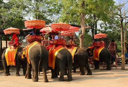 Nhiều du khách cưỡi voi đủng đỉnh đi dạo trên những con đường rợp bóng cây cổ thụ dẫn vào thành cổ.