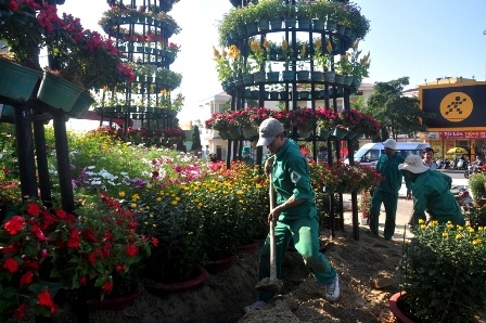 Đà Nẵng rực rỡ "áo mới" đón Tết - 7 Tranh thủ nắng ấm, công nhân tất bật với việc trang trí đường hoa