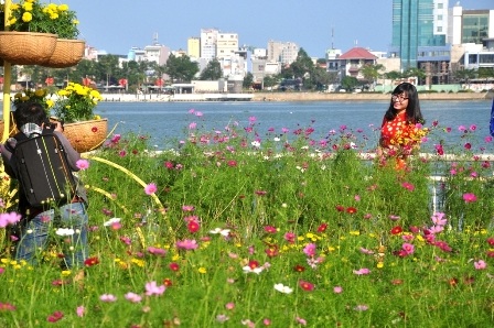 Đà Nẵng rực rỡ "áo mới" đón Tết - 14 Các bạn trẻ xúng xinh áo mới chụp hình với hoa Xuân