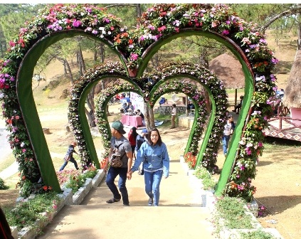“Cung đường tình yêu” duy nhất tại Đà Lạt thu hút nhiều cặp đôi đến tham quan và chụp ảnh