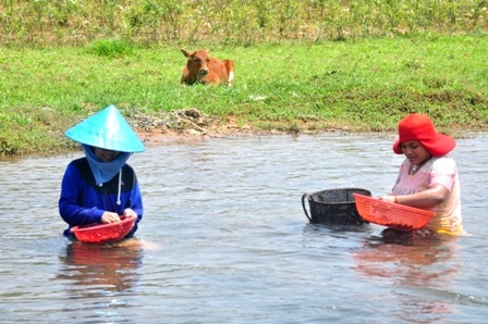 “Lộc trời” dưới chân cầu Dân trí - 2 “Lộc trời” dưới chân cầu Dân trí - 2