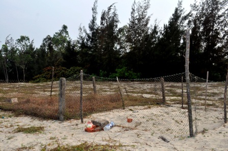 Nơi an táng cá “ông” được rào chắn cẩn thận