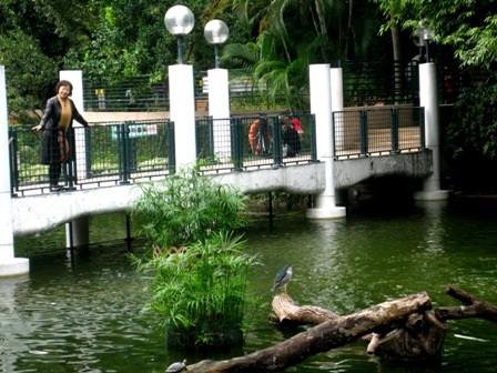 Khám phá công viên Cửu Long ở Hồng Kông - 2