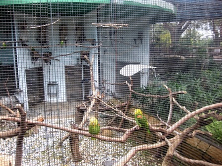 Khám phá công viên Cửu Long ở Hồng Kông - 4