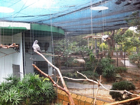 Khám phá công viên Cửu Long ở Hồng Kông - 5