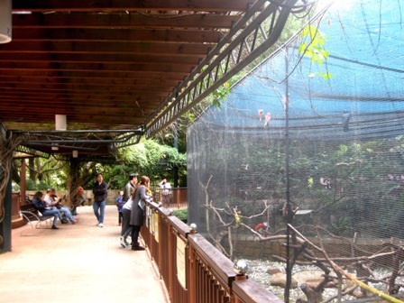 Du khách có thể tham quan các loài chim ở khu vực nuôi chim được bố trí ở khu đất cao nhất của công viên