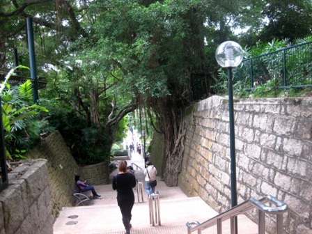 Khám phá công viên Cửu Long ở Hồng Kông - 8