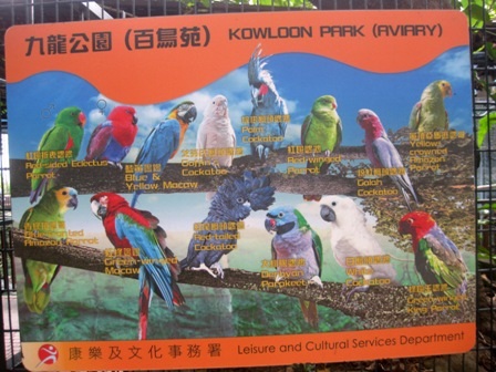 Khám phá công viên Cửu Long ở Hồng Kông - 6