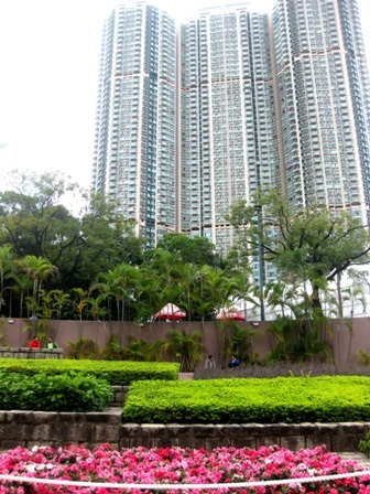 Tòa nhà chọc trời nhìn từ trong công viên