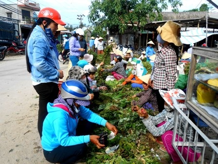 Rất đông người lựa chọn cho mình loại lá cần thiết