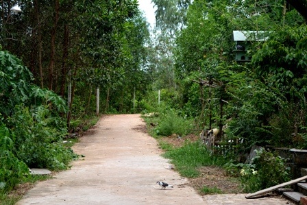Con đường dẫn vào làng