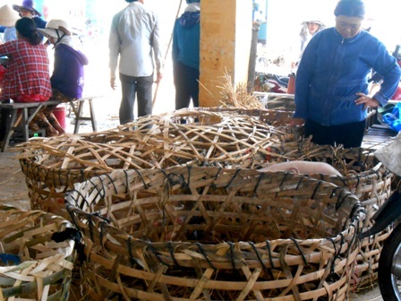 Heo đã được thu mua