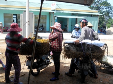 Mặc cả giá bế heo