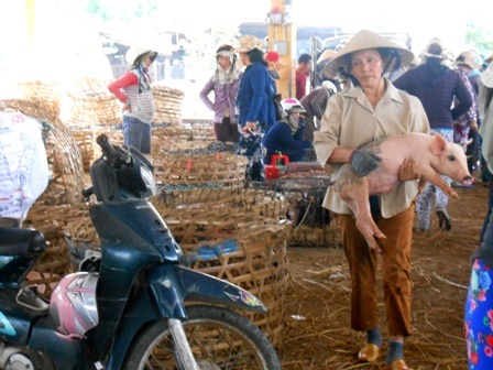 Những người phụ nữ làm nghề... bế “Trư Bát Giới” thuê - 7