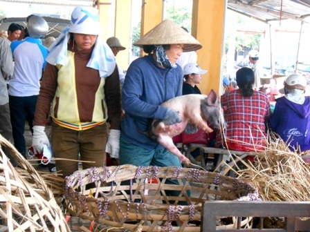 Những người phụ nữ làm nghề... bế “Trư Bát Giới” thuê - 8