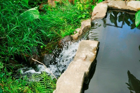 Tiếng nước róc rách, trong lành tạo cảm giác hứng khởi cho người khám phá