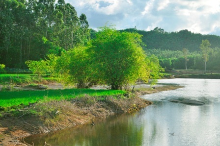 Khung cảnh như bức tranh thủy mặc