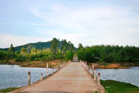 Con đường dẫn đến đồng sen Trà Lý