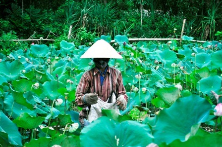 Nơi đây là nơi sinh kế cho nhiều người dân