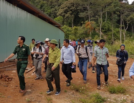 Thủ tướng yêu cầu điều tra vụ phá rừng pơmu tại Quảng Nam - 1 Lực lượng chức năng kiểm tra gỗ pơmu trái phép tại khu vực biên giới ngày 20/7