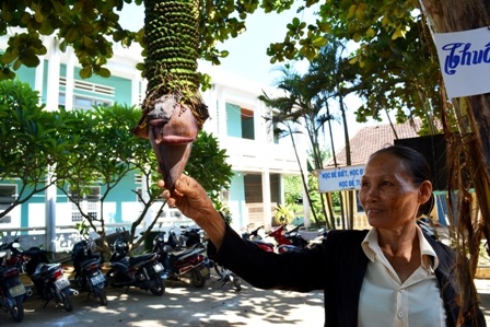 Người dân rất thích thú với buồng chuối trăm nải