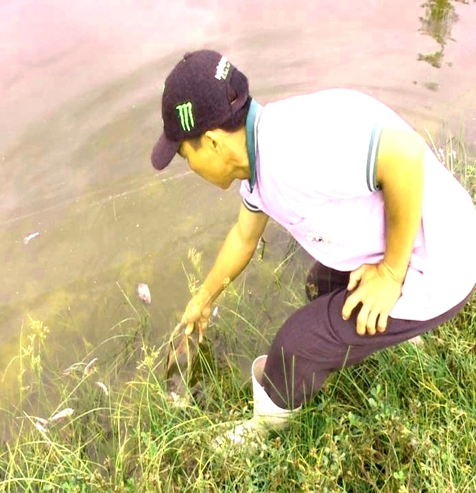 Cá bên cạnh nhà máy chết hàng loạt