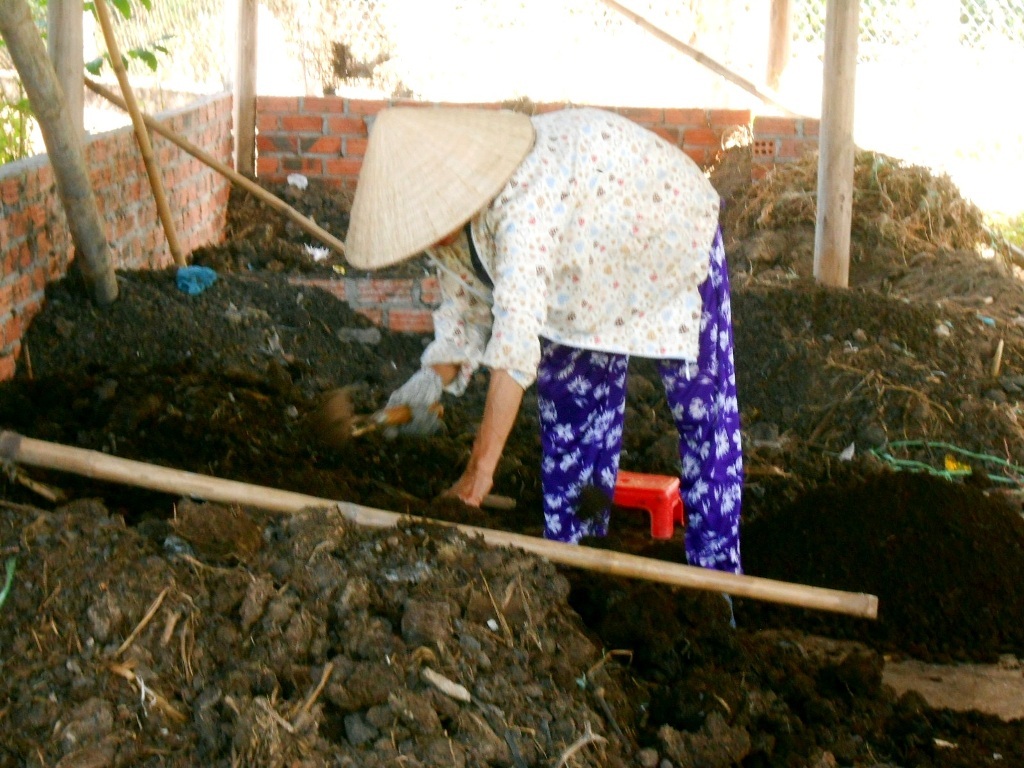 Phân bón hữu cơ (phân chuồng và cây xanh) được ủ cẩn thận theo đúng quy trình, quy chuẩn rồi mới mang đi bón cho cây