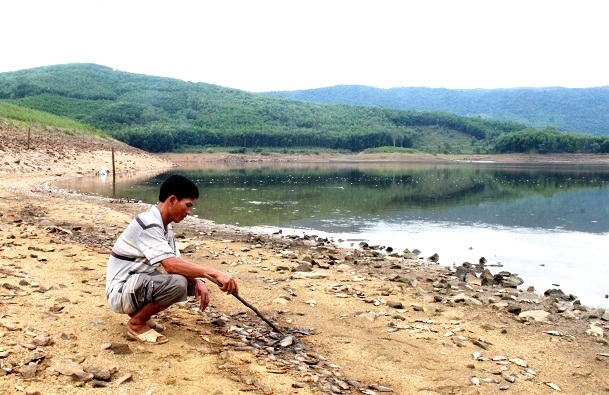 Anh Nguyễn Văn Duyên đang thu gom xác cá chết