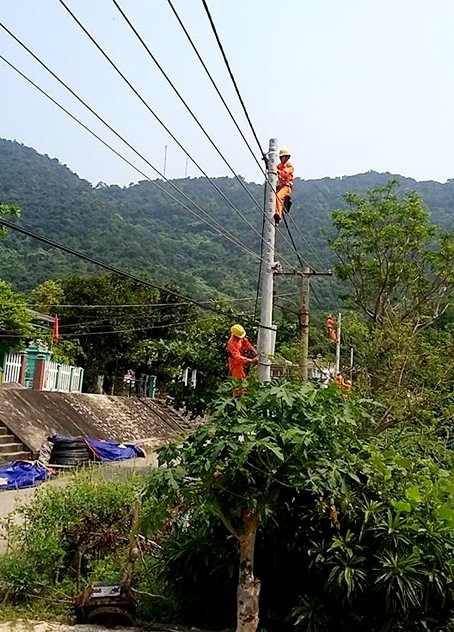 Điện trên đảo Cù Lao Chàm bị cúp bởi... sóc - 1 Công nhân kéo điện phục vụ người dân trên đảo Cù Lao Chàm