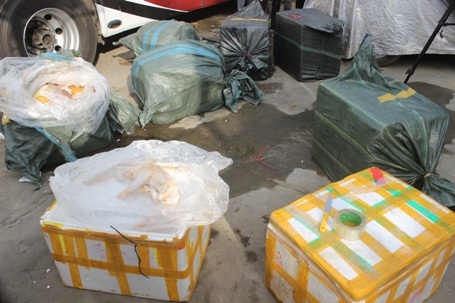 Lái xe không xuất trình được các giấy tờ liên quan chứng minh nguồn gốc của lô hàng