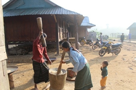 Quảng Trị: Độc đáo Tết mừng lúa mới của đồng bào Pa Kô, Vân Kiều - 3