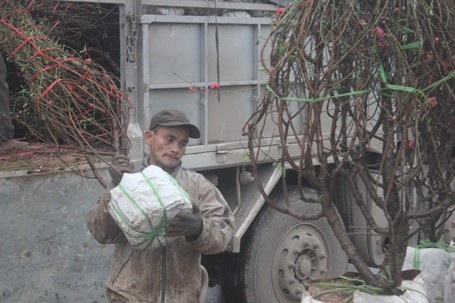 Vận chuyển hoa từ xe tải xuống bày bán