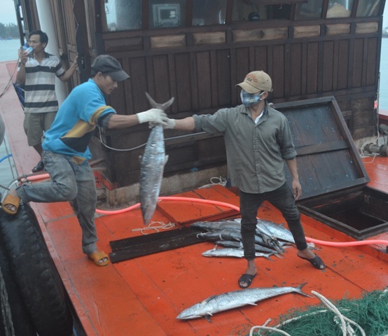 Niềm vui về một chuyến biển bội thu thể hiện trên nét mặt của mỗi ngư dân