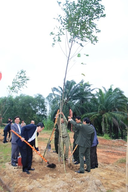 Quảng Trị: Trồng cây xanh trên các tuyến phố, công viên dịp đầu Xuân - 2
