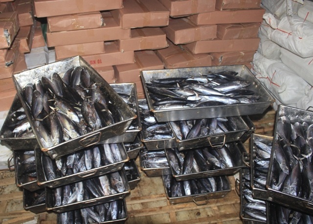 Lô cá nục 30 tấn được xác định bị nhiễm phenol