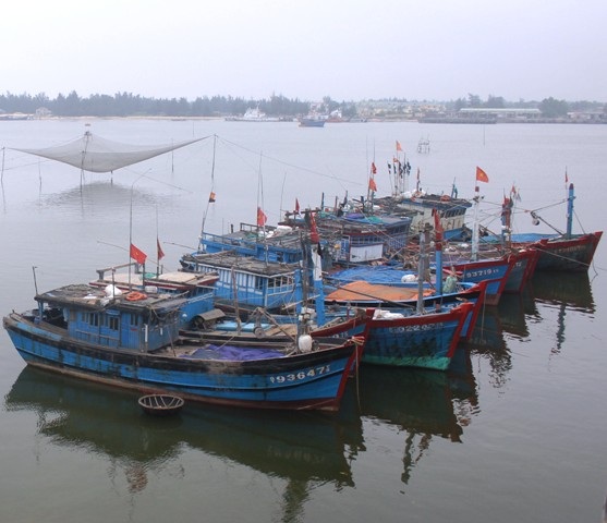 Ngoài những tàu cá đánh bắt xa bờ thì các tàu gần bờ dường như không hoạt động