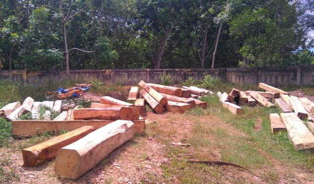 Lực lượng chức năng đã phát hiện và thu giữ hàng chục m3 gỗ